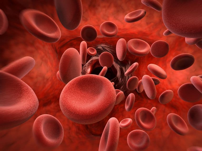 Platelets Platelets