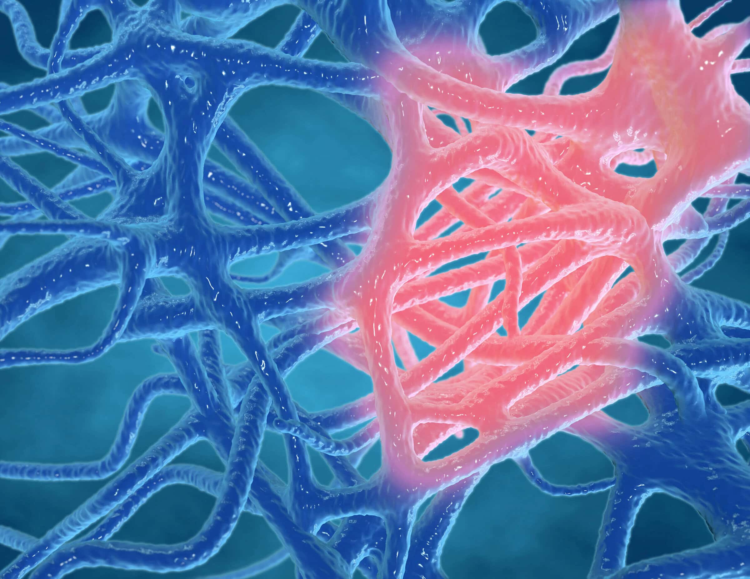 Inflammation concept, human tissues 3d rendering.