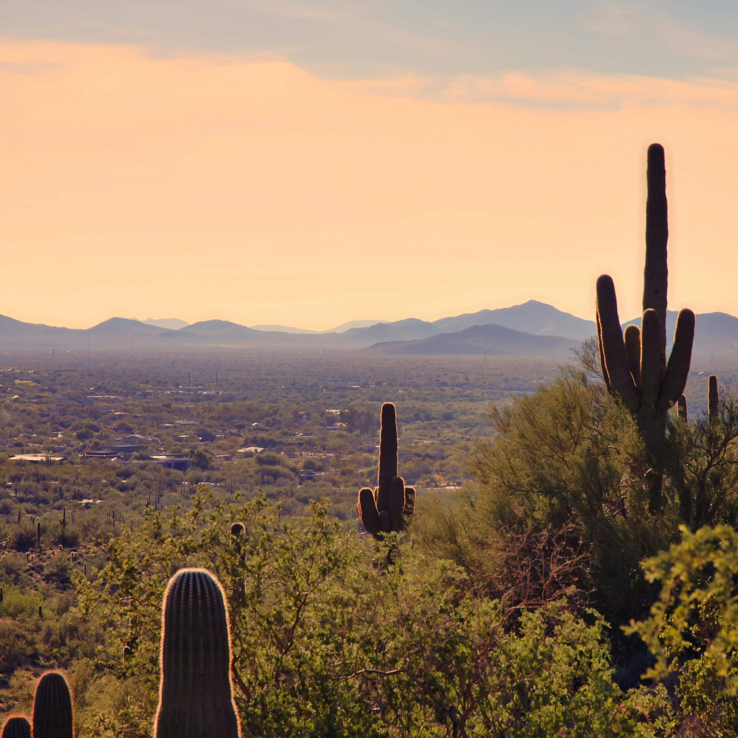 Scottsdale AZ Scottsdale AZ
