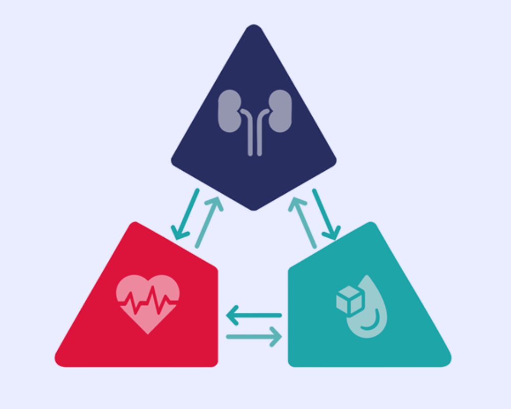Chronic Kidney Disease diagram